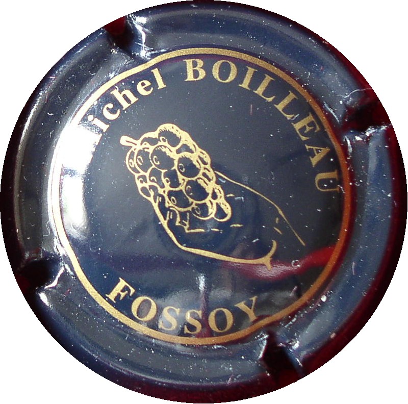 Boilleau-michel-bleu Boilleau-michel-bleu.jpg