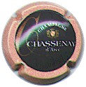 Chassenay-saumon-et-gris Chassenay-saumon-et-gris.jpg