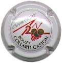 Collard-blanc-an2000 Collard-blanc-an2000.jpg