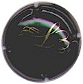 Delosey2 Delosey2.jpg