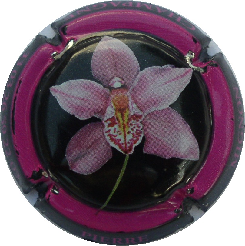Mignon-Pierre-Orchidée Mignon-Pierre-Orchidée.jpg