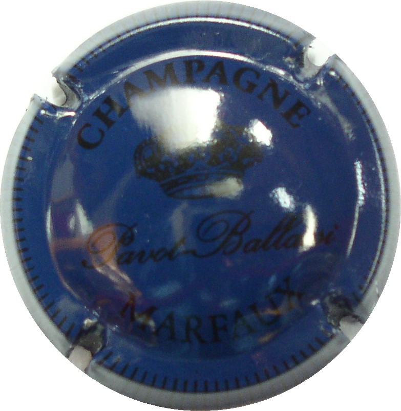 Pavot-bleu Pavot-bleu.jpg